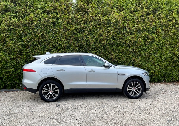 Jaguar F-Pace cena 99900 przebieg: 158000, rok produkcji 2019 z Dębica małe 121